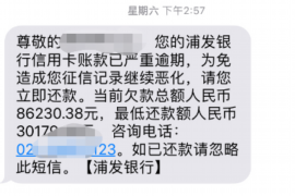 阳西为什么选择专业追讨公司来处理您的债务纠纷？